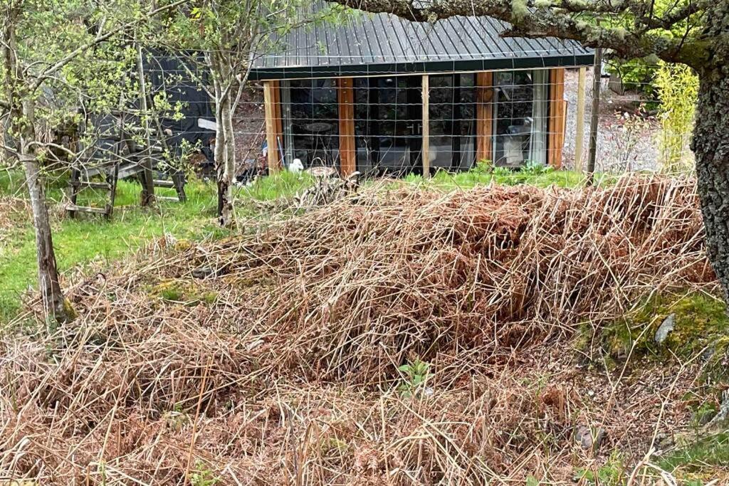 Coorie Doon Cabin! Great Scottish Welcome Fort Augustus Exteriér fotografie