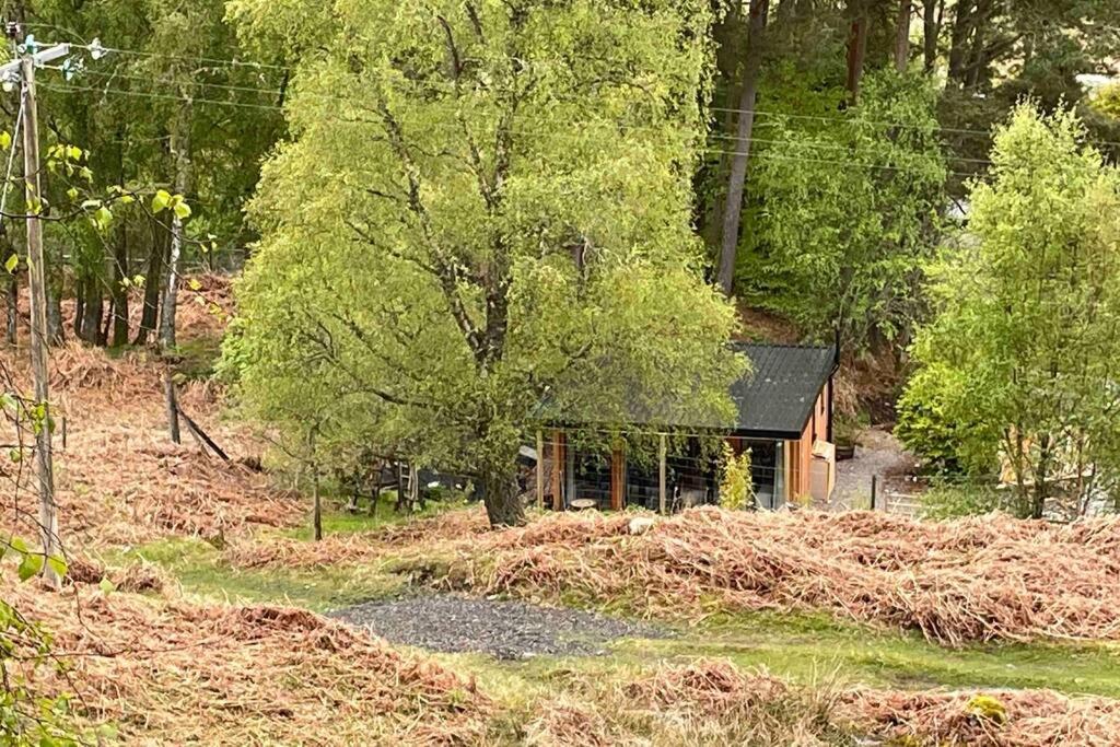 Coorie Doon Cabin! Great Scottish Welcome Fort Augustus Exteriér fotografie